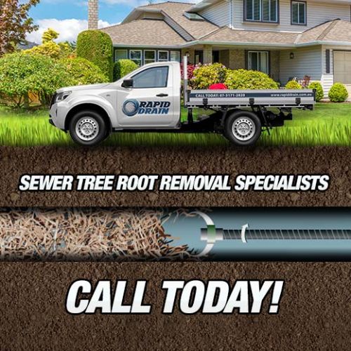 Sewer Tree Root Removal Specialists In Amberley